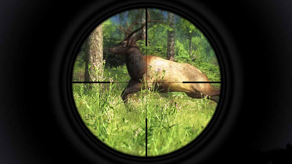 Free Online Elk Hunting Games Play